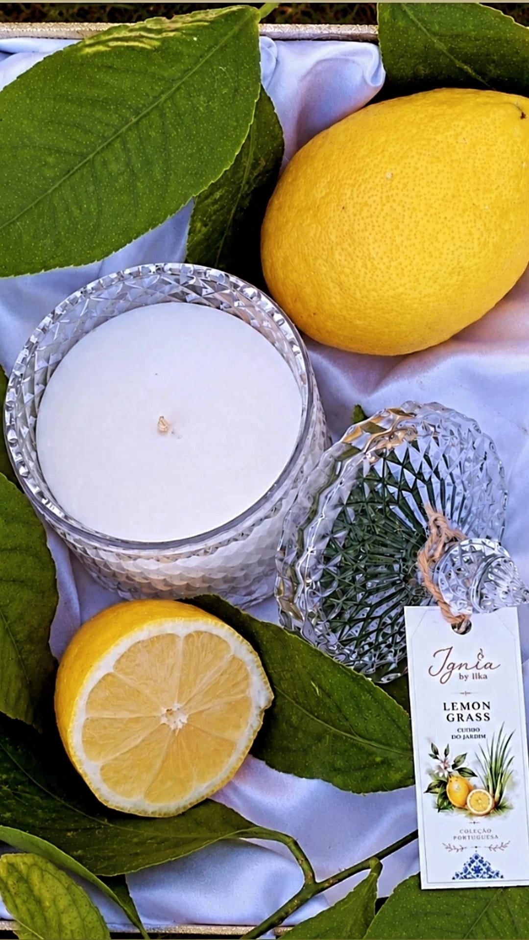 Vela Figueira | Cera de Soja Natural